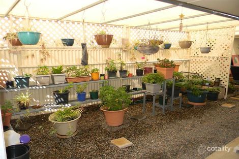 Property photo of 11 Warner Road Murray Bridge SA 5253