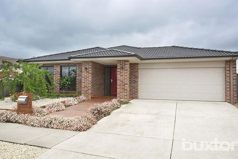 Property photo of 38 Lawrie Drive Alfredton VIC 3350