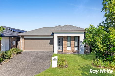 Property photo of 44 Jones Street Coomera QLD 4209