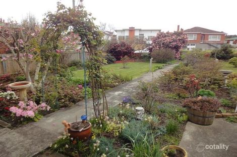 Property photo of 238 St Leonards Road St Leonards TAS 7250