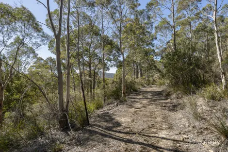 Property photo of Snug Falls Road Snug TAS 7054