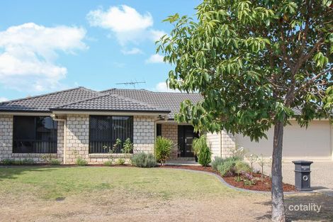 Property photo of 20 Cottonwood Crescent Springfield Lakes QLD 4300