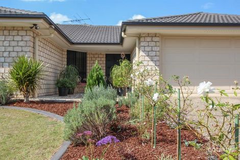 Property photo of 20 Cottonwood Crescent Springfield Lakes QLD 4300