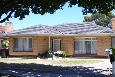Property photo of 36 Beare Avenue Netley SA 5037