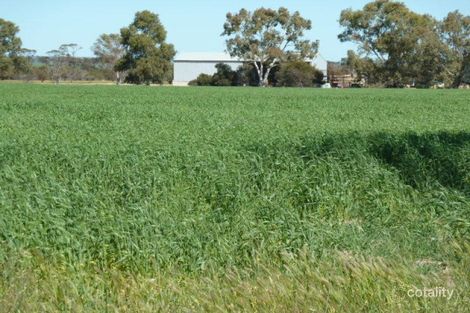 Property photo of 772 Billacabella-Doodenanning Road Cubbine WA 6383