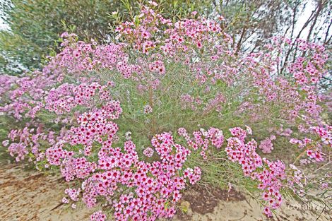 385 Jurien Bay Vsta, Jurien Bay, WA 6516