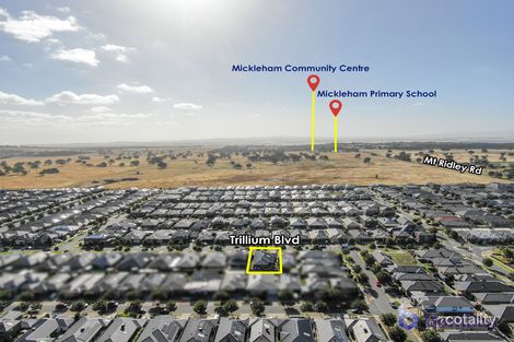 Property photo of 53 Trillium Boulevard Mickleham VIC 3064