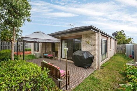 Property photo of 24 Mapelton Circuit Parkinson QLD 4115