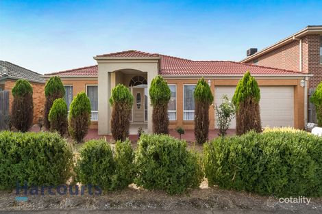37 Delatite Way, Skye, VIC 3977