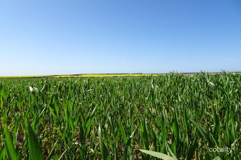 4 King Rocks Rd W, Hyden, WA 6359