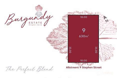 Property photo of 7 Stephen Street Angle Vale SA 5117