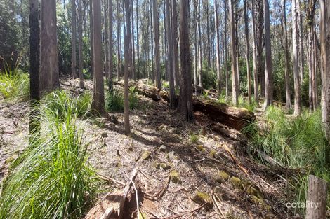 2 Morphetts Rd, Neika, TAS 7054