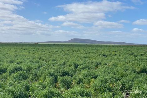 1830 Chilmans Rd, Butler, SA 5605