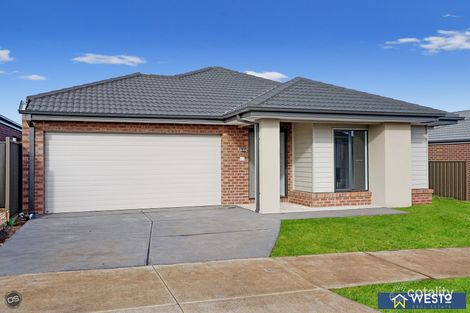 Property photo of 51 Larneuk Drive Cobblebank VIC 3338