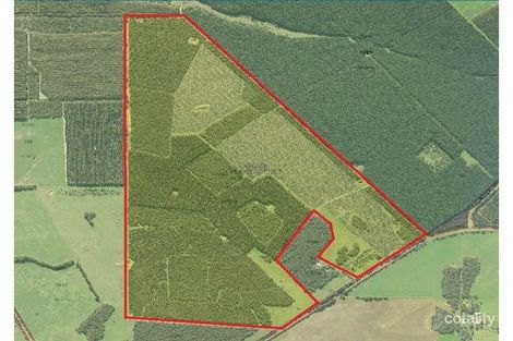 Property photo of 45016 South Coast Highway Kalgan WA 6330