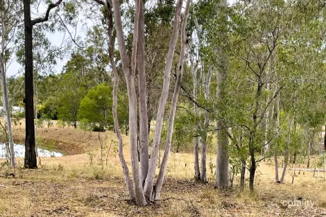 Property photo of 30 Gilgai Road Delan QLD 4671