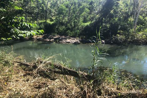 Lot 1 Saltwater Creek Rd, Palm Grove, QLD 4800