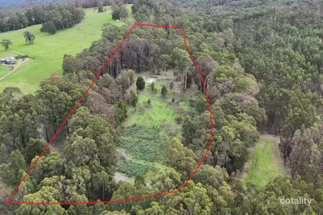 95 Wonga Rd, Kawarren, VIC 3249