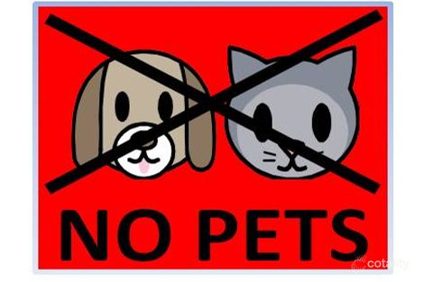 369 Macquarie Rd, Springwood, NSW 2777