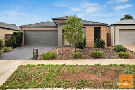 23 Cobble St, Cobblebank, VIC 3338