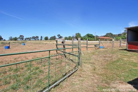 Property photo of 19 Henschke Avenue San Isidore NSW 2650