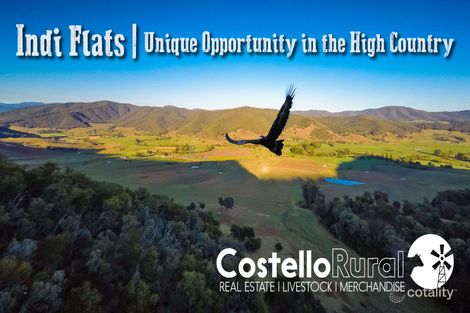 718 Indi Rd, Indi, NSW 2642