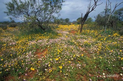 Property photo of Isachar Back Road Bowes WA 6535