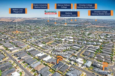 Property photo of 36 Panabeh Place Grovedale VIC 3216