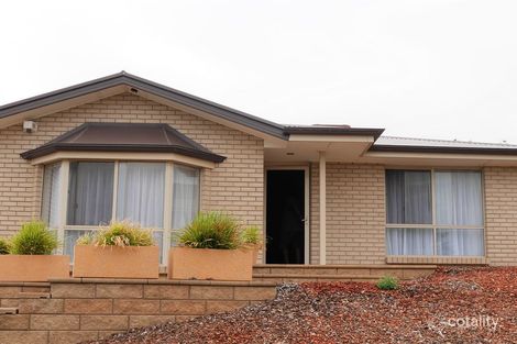 Property photo of 7 Argana Avenue Modbury North SA 5092