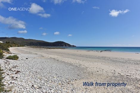 Property photo of 38 Irby Boulevard Sisters Beach TAS 7321