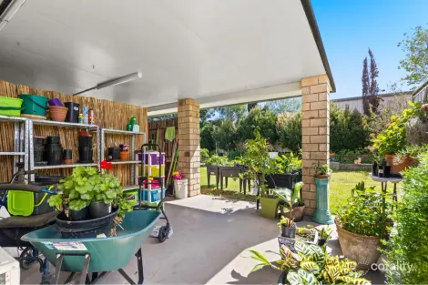 Property photo of 10 Hakea Court Warwick QLD 4370