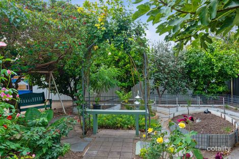 Property photo of 6 Young Avenue West Hindmarsh SA 5007