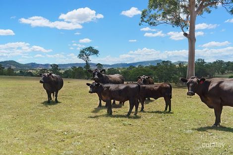 450 Fishers Hill Rd, Fishers Hill, NSW 2421