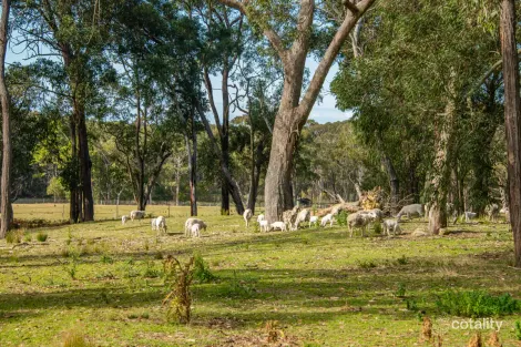 30 Niclins Rd, Mangrove Mountain, NSW 2250