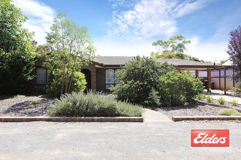 7 Armstrong Ave, Nuriootpa, SA 5355