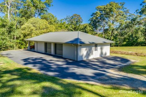 Property photo of 56 Billabirra Crescent Nerang QLD 4211