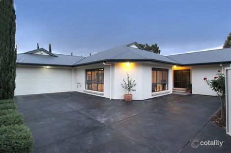 Property photo of 1B Ferry Avenue Plympton Park SA 5038