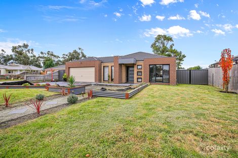 Property photo of 11 Timberland Court Longwarry VIC 3816