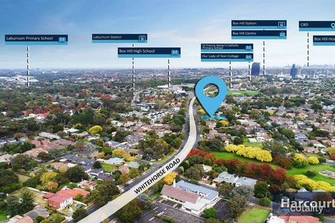 Property photo of 33 Whitehorse Road Blackburn VIC 3130
