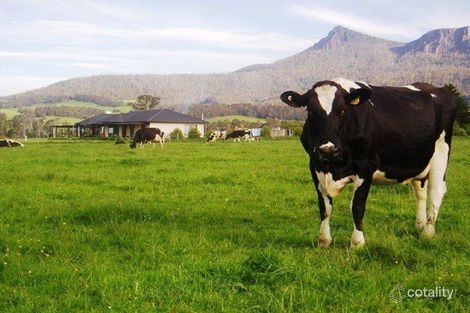 1037 Dairy Plains Rd, Western Creek, TAS 7304