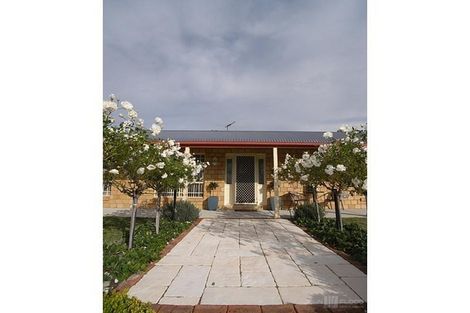 Property photo of 7 Edinglassie Drive Muswellbrook NSW 2333