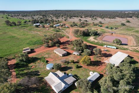 Hermidale Nymagee Rd, Hermidale, NSW 2831