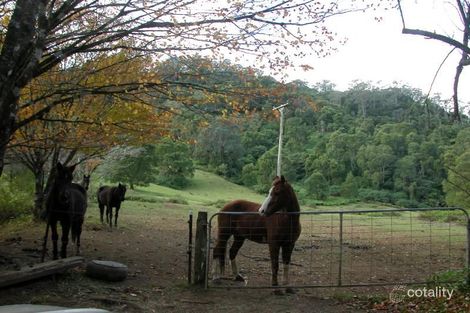 425 Brogers Creek Rd, Brogers Creek, NSW 2535