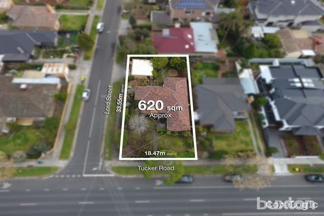 Property photo of 235 Tucker Road McKinnon VIC 3204