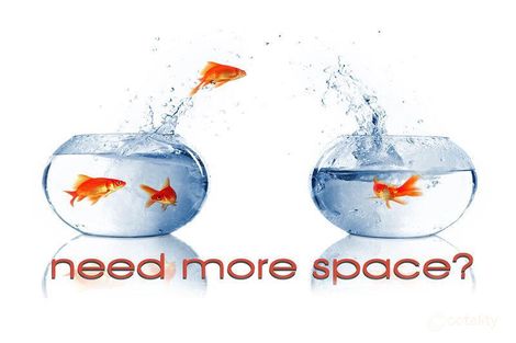 38 Lilli Pilli Pl, Springvale, NSW 2650