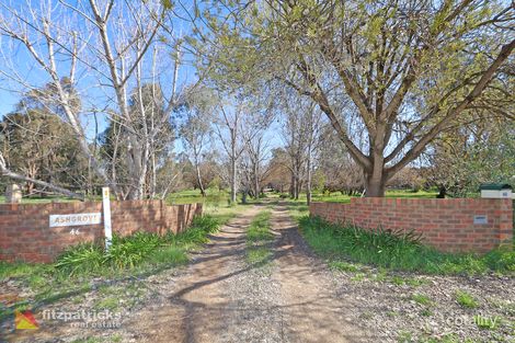 Property photo of 46 Plumpton Road Tatton NSW 2650