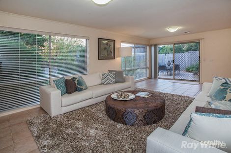 Property photo of 25 Myers Avenue Glen Waverley VIC 3150