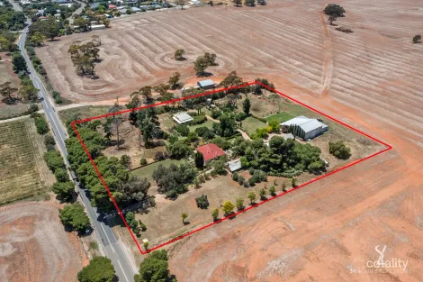 Property photo of 5384 Balaklava Road Auburn SA 5451