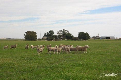 1c Alawoona Rd, Lameroo, SA 5302