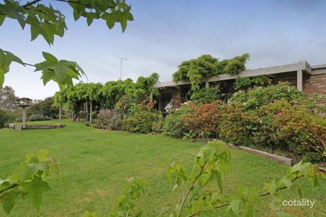 11 Chaffer St, Chum Creek, VIC 3777